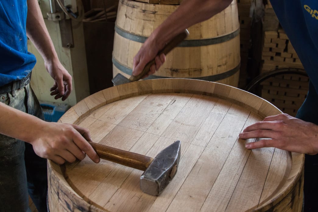 Love the taste of whiskey? Thank an oak tree